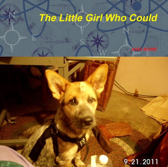 The little Girl Who Could by Andi Bowe - Paperback
