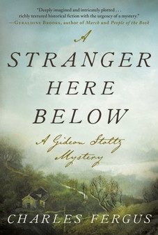 A Stranger Here Below : A Gideon Stoltz Mystery