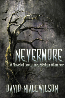 Nevermore by David Niall Wilson - Paperback