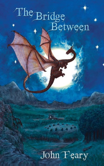 The Bridge Between by John Feary - Paperback