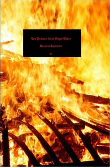 Les Princes De La Magie Noire by Rosalia Colmeiro - Paperback