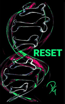 Reset by Priyanka Gulshan - Paperback