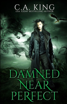 Damned Near Perfect : 2 by C a King - Paperback