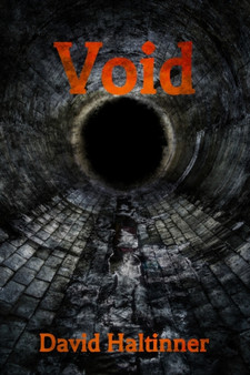 Void by David Haltinner - Paperback