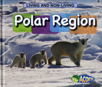In a Polar Region