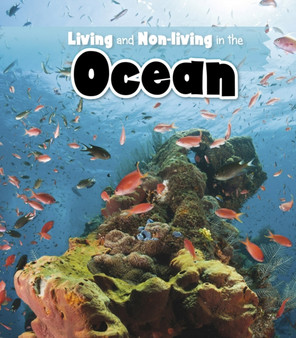 Living and Non-living in the Ocean