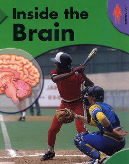 Inside the Brain
