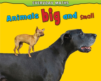 Everyday Maths : Pack A