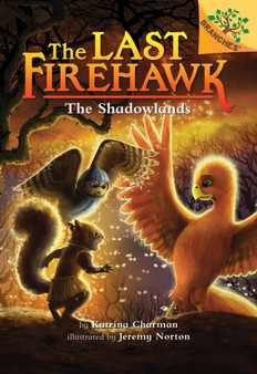The Shadowlands: A Branches Book (The Last Firehawk 5) : 5