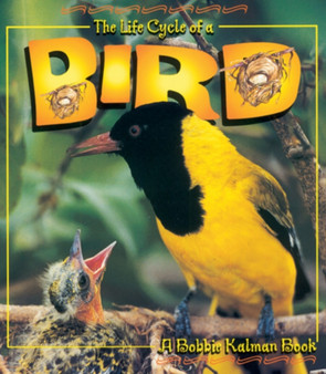 The Life Cycle of the Bird