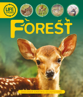 US Life Cycles: Forest