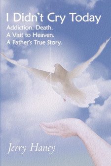 I Didn't Cry Today : Addiction. Death. A Visit to Heaven. A Father's True Story