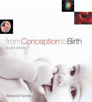 From Conception To Birth