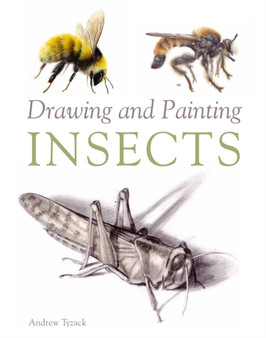 Drawing and Painting Insects by Andrew Tyzack - Paperback
