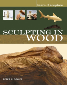 Sculpting in Wood by Peter Clothier - Paperback