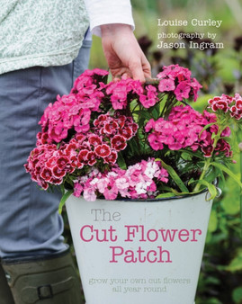 The Cut Flower Patch : Grow your own cut flowers all year round