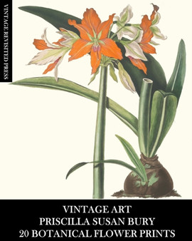 Vintage Art : Priscilla Susan Bury: 20 Botanical Flower Prints: Flora Ephemera for Framing, Home Decor and Collage