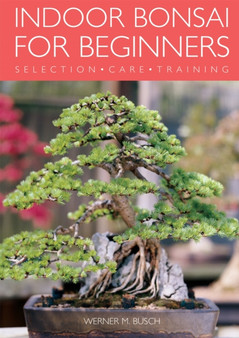 Indoor Bonsai for Beginners