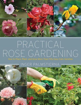 Practical Rose Gardening : How to Place, Plant, and Grow More Than Fifty Easy-Care Varieties