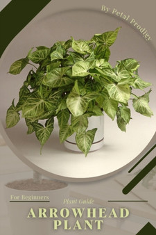 Arrowhead Plant : Prodigy Petal, Plant Guide