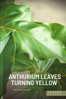 Anthurium Leaves Turning Yellow : Become plants expert