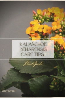 Kalanchoe beharensis Care Tips : Plant Guide