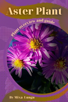 Aster Plant : Plant overview and guide