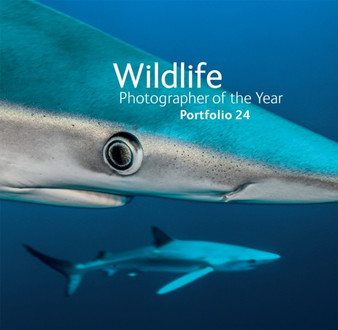 Wildlife Photographer of the Year : Portfolio 24