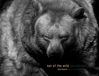 Out of the Wild : Zoo Portraits