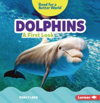 Dolphins : A First Look