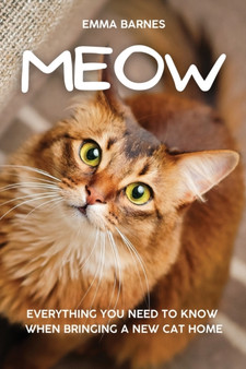 Meow : Everything You Need to Know When Bringing a New Cat Home