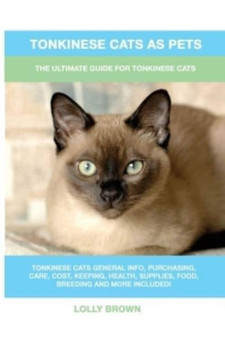 Tonkinese Cats as Pets : The Ultimate Guide for Tonkinese Cats