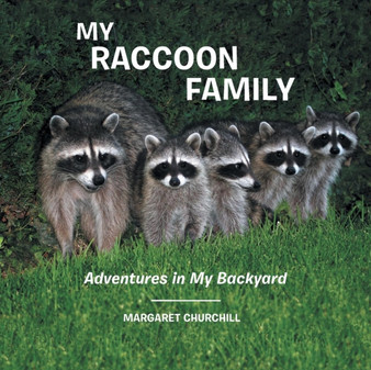 My Raccoon Family : Adventures in My Backyard