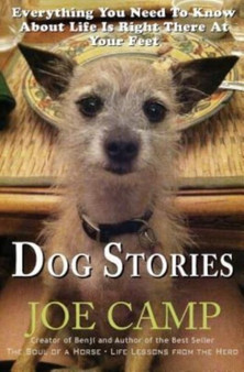 Dog Stories : Everything You Need To Know About Life Is Right There At Your Feet