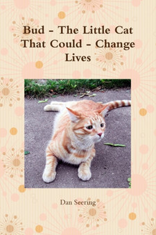 Bud - the Little Cat That Could - Change Lives