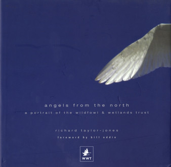 Angels from the North : A Portrait of the Wildfowl and Wetlands Trust