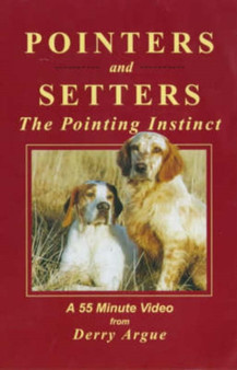 Pointers and Setters