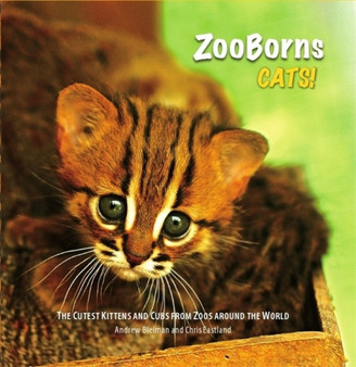 ZooBorns: Cats : The Newest and Cutest Exotic Cats from Zoos around the World!