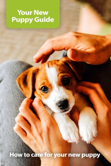 Your New Puppy Guide : How to care for your new puppy