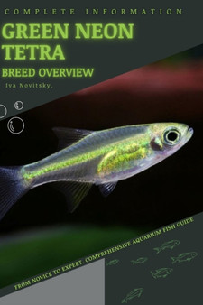 Green Neon Tetra : From Novice to Expert. Comprehensive Aquarium Fish Guide