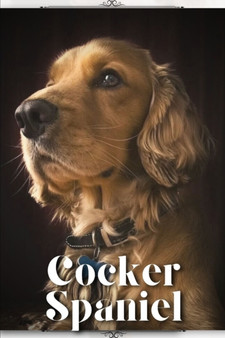 Cocker Spaniel : Dog breed overview and guide