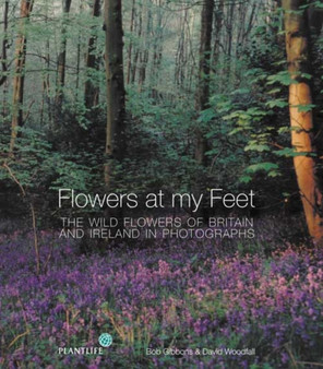Flowers at My Feet : The Wild Flowers of Britain and Ireland in Photographs