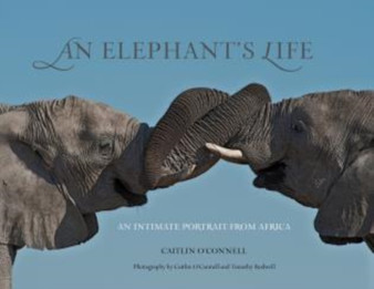 Elephant's Life : An Intimate Portrait From Africa