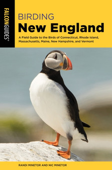 Birding New England : A Field Guide to the Birds of Connecticut, Rhode Island, Massachusetts, Maine, New Hampshire, and Vermont