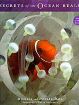 Secrets of the Ocean Realm