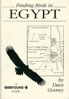 Finding Birds in Egypt