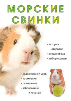 &#1052;&#1086;&#1088;&#1089;&#1082;&#1080;&#1077; &#1089;&#1074;&#1080;&#1085;&#1082;&#1080;