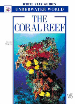 Coral Reef : Underwater World