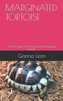 Marginated Tortoise : All You Need To Know About Marginated Tortoise.