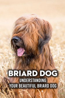 Briard Dog : Understanding Your Beautiful Briard Dog: What You Should Know About Briard Dogs